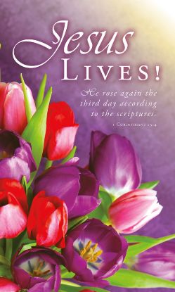 Picture of Jesus Lives Banner 3 x 5 Fabric