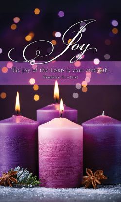 Picture of Banner Joy of the Lord Advent 3 x 5 Fabric