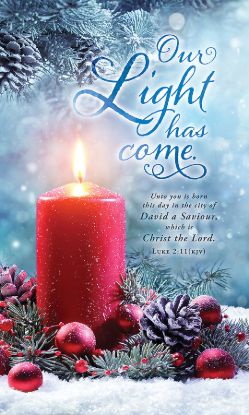 Picture of Banner Our Light Has Come Christmas 3x5 Fabric
