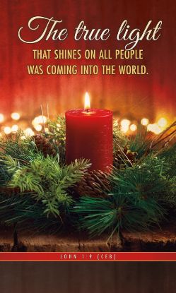 Picture of Banner Christmas The True Light that Shines 3x5 Fabric