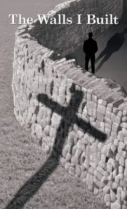 Picture of The Walls I Built