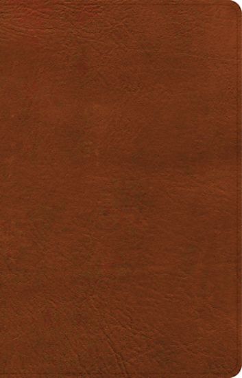 Picture of NASB Large Print Personal Size Reference Bible, Burnt Sienna Leathertouch, Indexed