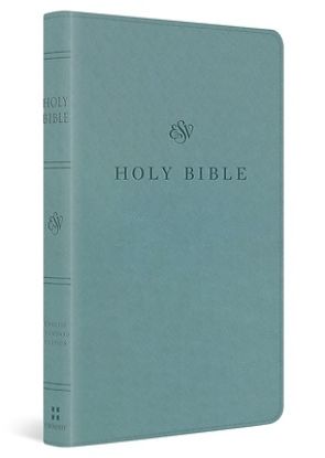 Picture of ESV Premium Church Bible (Trutone, Paris Sky)