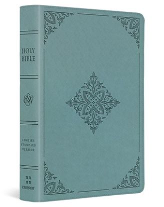 Picture of ESV Large Print Compact Bible (Trutone, Paris Sky, Fleur-De-Lis Design)