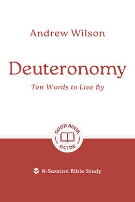 Picture of Deuteronomy