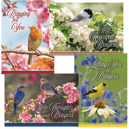 Picture of Prayerful Melodies Praying for You Cards - Box of 12