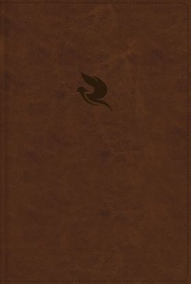 Picture of Rvr60, Biblia Plenitud, Revisada Y Ampliada, Leathersoft, Café, Interior a Cuatro Colores, Comfort Print