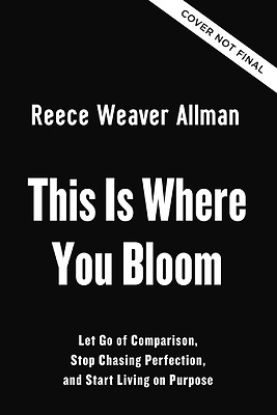 Picture of This Is Where You Bloom