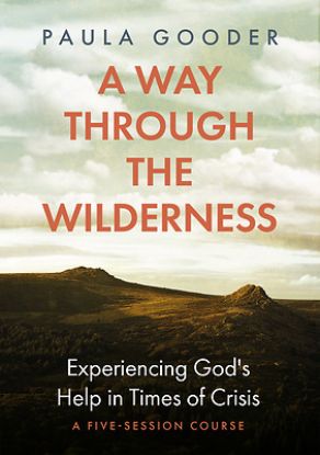 Picture of A Way Through the Wilderness