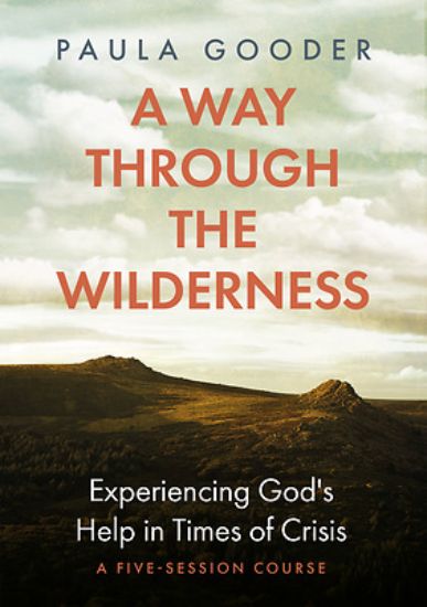 Picture of A Way Through the Wilderness