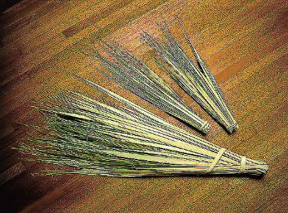 Picture of 24 Inch Palm Strips - Pack of 100