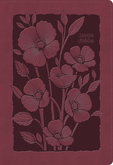 Picture of Rvr 1960 Biblia Para Regalos Y Premios, Rubí Floral, Símil Piel