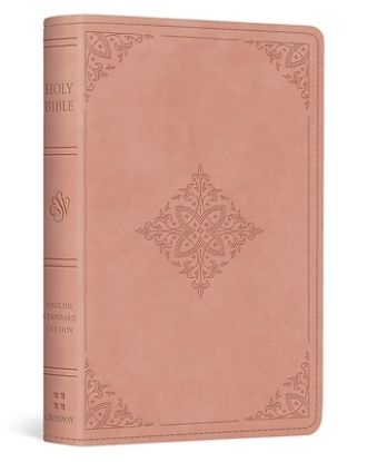 Picture of ESV Vest Pocket New Testament with Psalms and Proverbs, Red Letter (Trutone, Blush Rose, Fleur-De-Lis Design)