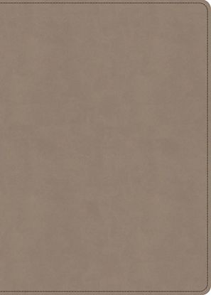 Picture of KJV Single-Column Wide-Margin Bible, Sand Leathertouch