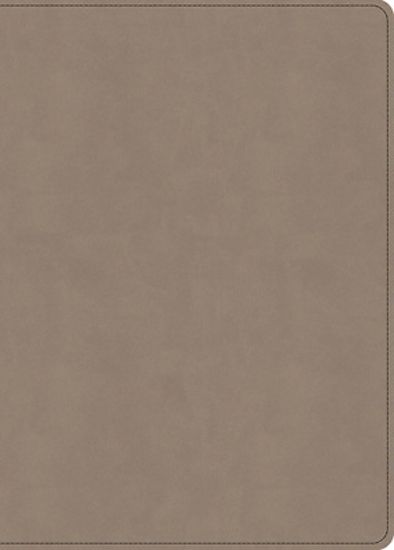 Picture of KJV Single-Column Wide-Margin Bible, Sand Leathertouch