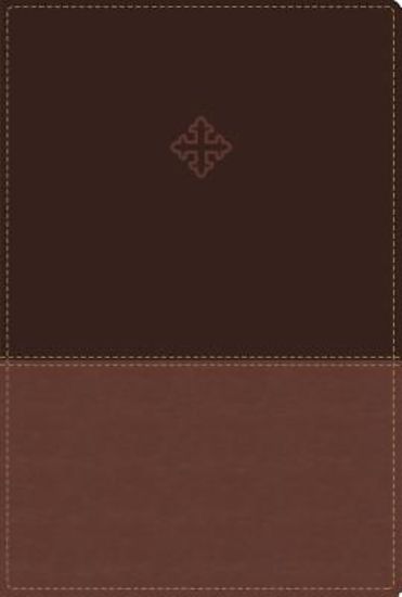 Picture of Amplified Study Bible, Imitation Leather, Brown, Indexed
