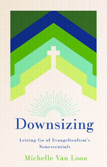 Picture of Downsizing