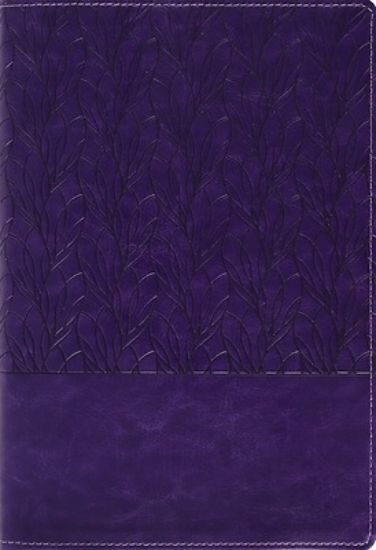 Picture of Amplified Holy Bible, Large Print, Leathersoft, Purple