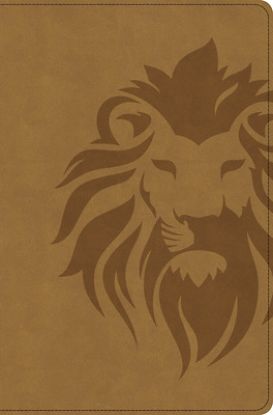 Picture of CSB One Big Story Bible, Revised & Updated, Easy-To-Read Optimal Type, Brown Lion Leathertouch