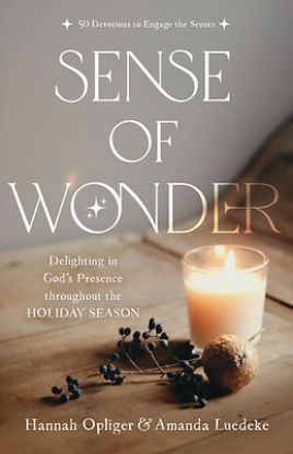 Picture of Sense of Wonder