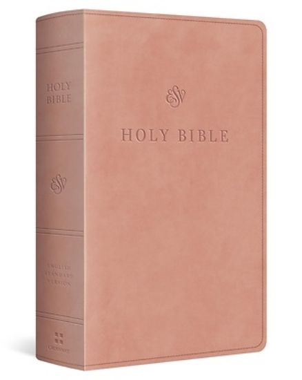 Picture of ESV Giant Print Personal Size Bible, Red Letter (Trutone, Blush Rose)