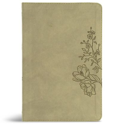 Picture of CSB Large Print Thinline Bible, Digital Study Edition, Sage Suedesoft Leathertouch