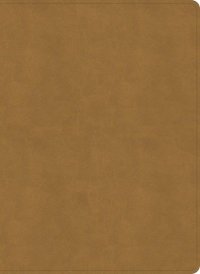 Picture of NASB Study Bible, Camel Suedesoft Leathertouch