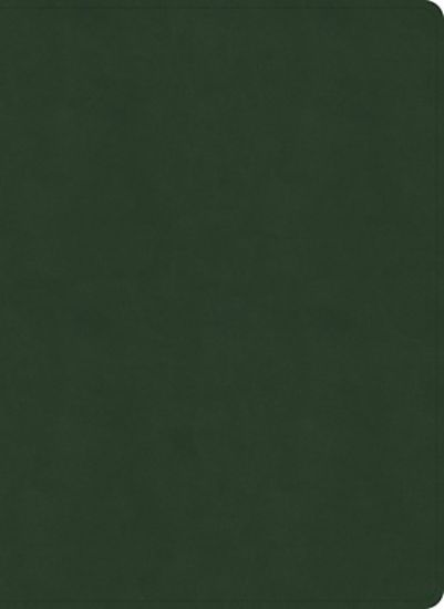 Picture of NASB Study Bible, Olive Leathertouch