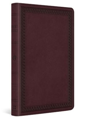 Picture of ESV Large Print Value Thinline Bible (Trutone, Mahogany, Border Design)
