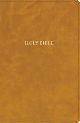 Picture of CSB Grace Bible, Camel Leathertouch (Dyslexia Friendly)