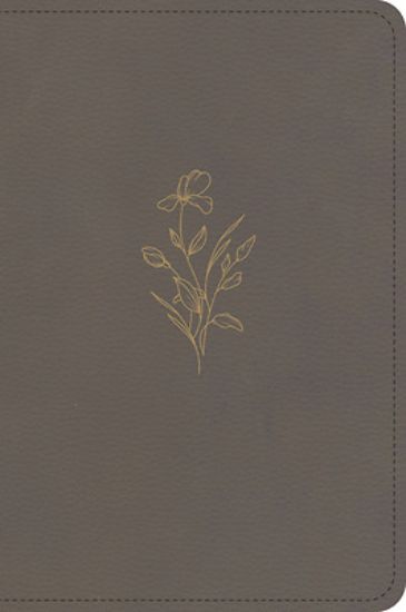 Picture of KJV Large Print Compact Reference Bible, Clay Leathertouch