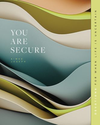 Picture of You Are Secure