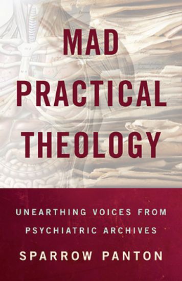 Picture of Mad Practical Theology