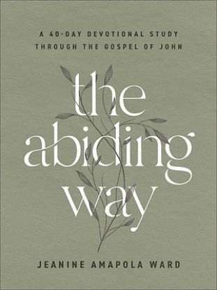 Picture of The Abiding Way