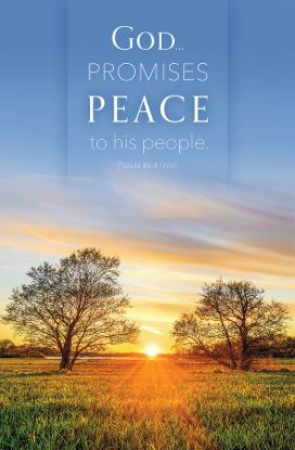 Picture of God Promises Peace Funeral Bulletin