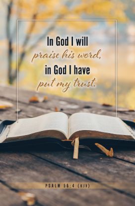 Picture of I Will Praise His Word Bulletin