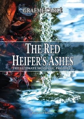 Picture of The Red Heifer's Ashes