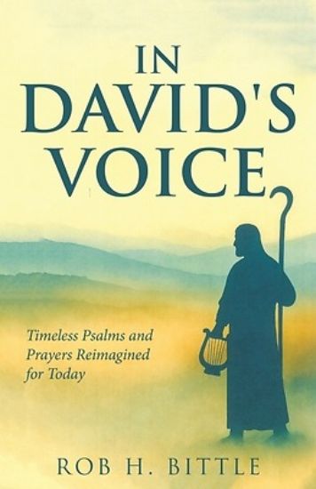 Picture of In David's Voice