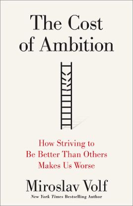 Picture of The Cost of Ambition