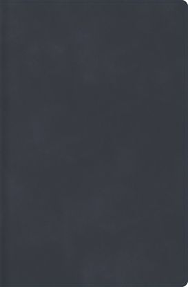 Picture of Rvr 1960 Biblia Descubre Tu Fe, Gris Azulado, Símil Piel