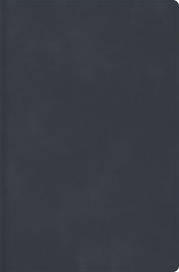 Picture of Rvr 1960 Biblia Descubre Tu Fe, Gris Azulado, Símil Piel