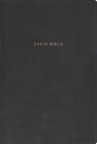Picture of Rvr 1960 Biblia Letra Grande, Tamaño Manual, Gris, Símil Piel