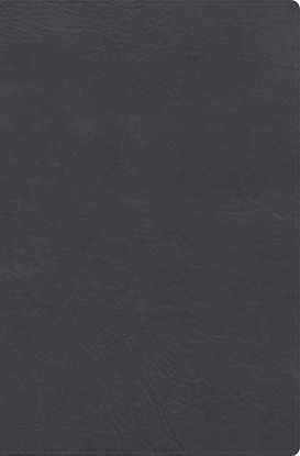 Picture of Rvr 1960 Biblia de Estudio de Letra Gigante, Negro, Símil Piel