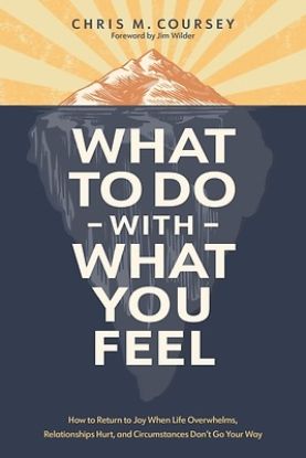 Picture of What to Do with What You Feel