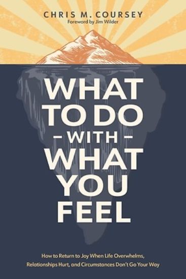 Picture of What to Do with What You Feel