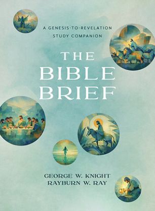 Picture of The Bible Brief