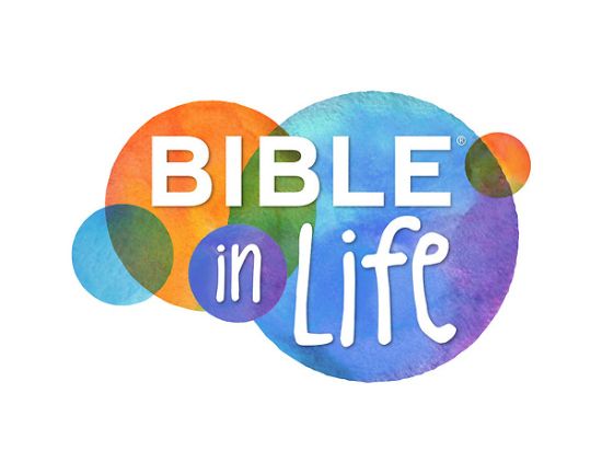 Picture of Bible in Life Elementary Friends Summer