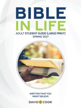 Picture of Bible in Life Adult Student Book Large Print Spring