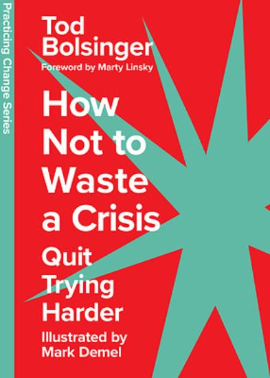 Picture of How Not to Waste a Crisis
