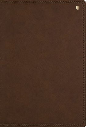 Picture of Net Study Bible (Net, Brown Leathersoft, Comfort Print, Thumb Indexed)